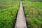 Xinfeng Mangrove Trail in Hsinchu, Taiwan.