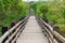 Xinfeng Mangrove Trail in Hsinchu, Taiwan.