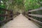 Xinfeng Mangrove Trail in Hsinchu, Taiwan.