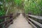 Xinfeng Mangrove Trail in Hsinchu, Taiwan.