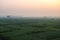 XINGHUA, CHINA: Rapeseed field in the morning