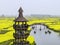 Xinghua, Jiangsu: thousands of stacks of cauliflower yellow, visitors like weaving flowers busy