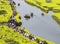 Xinghua, Jiangsu: thousands of stacks of cauliflower yellow, visitors like weaving flowers busy