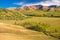 Xinjiang Kanas Grassland Autumn