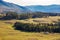 Xinjiang Kanas Grassland Autumn