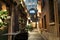 XINTIANDI SHANGHAI, CHINA APRIL, 2017 : a narrow street between pub and art gallery with a cute tree