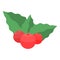 Xmas berries icon, isometric style