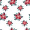 Xmas seamless pattern with poinsettia star plant