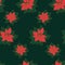 Xmas seamless pattern with poinsettia star plant