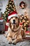 xmas theme Dog wearing a Santa hat with Christmas decorations in the background