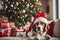 xmas theme Dog wearing a Santa hat with Christmas decorations in the background