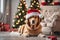 xmas theme Dog wearing a Santa hat with Christmas decorations in the background