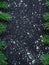 Xmas tree branches on winter snowbound black space background