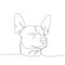 Xoloitzcuintli dog breed, Mexican hairless dog, national dog of Mexico one line art. Continuous line drawing of friend