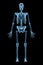 Xray image of anterior or front view of full human skeletal system or skeleton isolated on black background 3D rendering