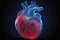An xray image of a human heart