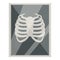 Xray image icon cartoon vector. Radiology chest