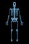 Xray image of posterior or back view of full human skeletal system or skeleton isolated on black background 3D rendering