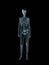 Xray, x-ray of the human female body.