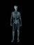 Xray, x-ray of the human male body.