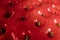 xtreme macro photo on strawberry