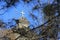 Xuanwumen Cathedral in Beijing