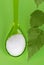 Xylitol birch sugar on plastic spoon over green