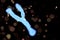Y Chromosome Abstract Background