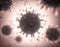 Y-Shaped Antibody Attacking Coronavirus Covid-19