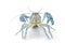 Yabbie Crayfish in fighting position,Blue crayfish