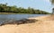 Yacare caimans lying on a sandy river bank