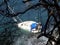 A yacht aground on a reef in the Caribbean