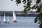 Yacht in the background,Goldopiwo lake, Masuria, Poland.