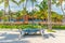 Yacht on the beach among palm trees