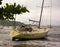 A yacht beached during a hurricane in the windward islands