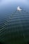 The yacht with decks and cabins cuts through the dark surface of the water leaving behind the waves and foamy white trail