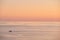 Yacht floating in ocean. Nature landscape. Panoramic view of sea sunset. Cloudless sky and golden hour, copy space