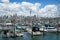 Yacht at Harbour in Auckland, New Zealand