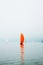 Yacht regatta with an orange sail in a foggy morning floats on the sea