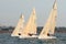 Yacht type Melges-24