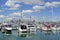 Yachtes mooring in Westhaven Marina against Auckland skyline