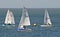Yachting regatta race