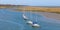 Yachts at anchor on the Solent