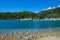 Yachts in the bay of Picton,south island of New Zealand.