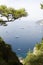 Yachts in blue water and trees upon s hill at Capri Italy