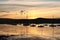 Yachts and boats moored on tranquil waters at sunset