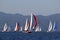 Yachts with colored spinnaker racing in Gocek