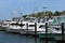 Yachts docked at marina in Florida