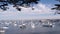 Yachts in harbor or bay, Monterey marina, Old Fishermans Wharf, California coast