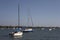 Yachts on the harbour of sarasota bay